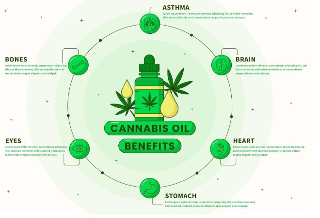 Aplicaciones potenciales de los extractos de plantas de cannabis y fitoquímicos como antimicrobianos naturales