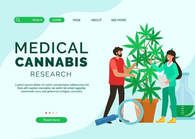 What Is Cannabichromene (CBC) and Why Is It Important in the Cannabis Industry?