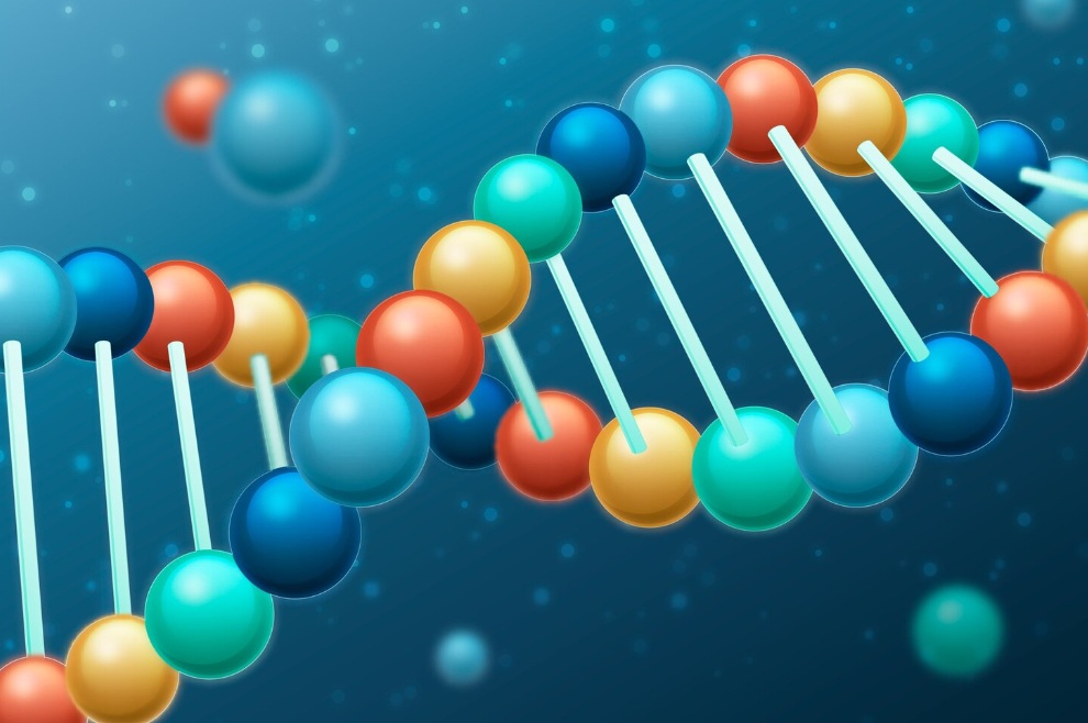 Guía completa sobre anestésicos locales: procaína vs. lidocaína