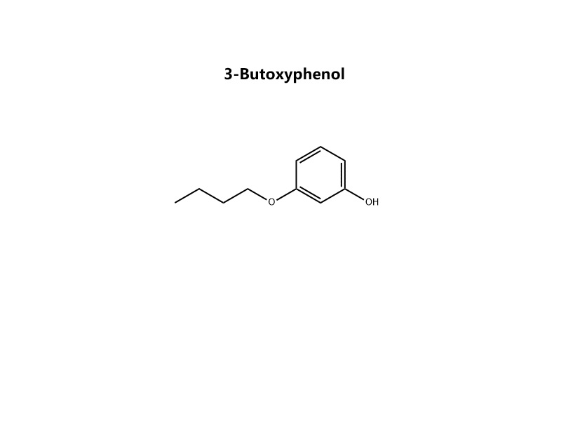 3-Butoxyphenol CAS 18979-72-1
